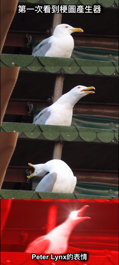 第一次看到梗圖產生器 Peter Lynx的表情