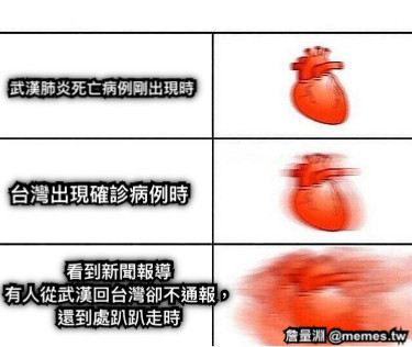 武漢肺炎死亡病例剛出現時 台灣出現確診病例時 看到新聞報導 有人從武漢回台灣卻不通報， 還到處趴趴走時