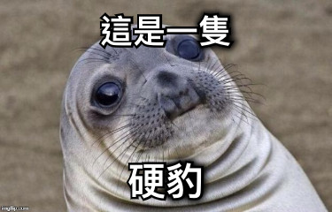 這是一隻 硬豹