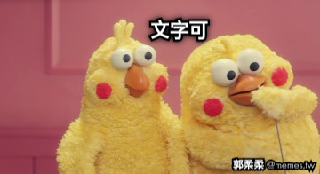 文字可