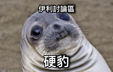 伊利討論區 硬豹