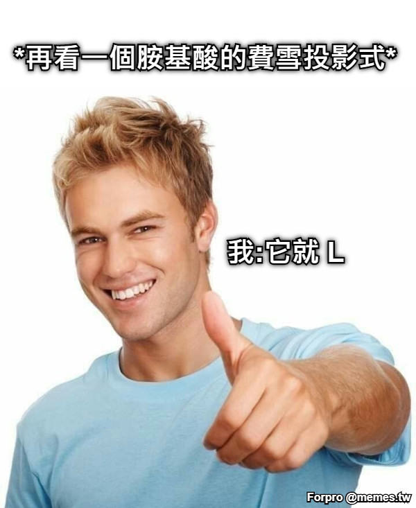 *再看一個胺基酸的費雪投影式* 我:它就 L