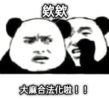 欸欸 大麻合法化啦！！