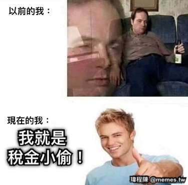 我就是 稅金小偷！