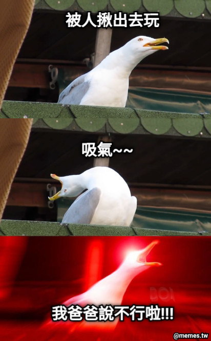 被人揪出去玩 吸氣~~ 我爸爸說不行啦!!!