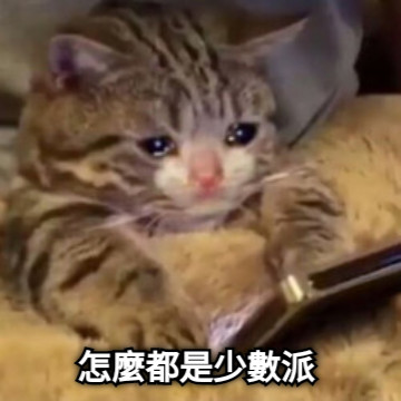 怎麼都是少數派