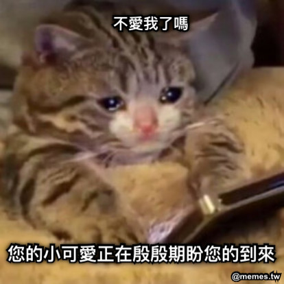 您的小可愛正在殷殷期盼您的到來 不愛我了嗎