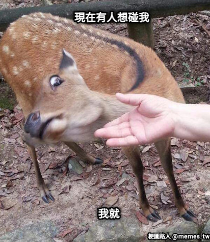 現在有人想碰我 我就