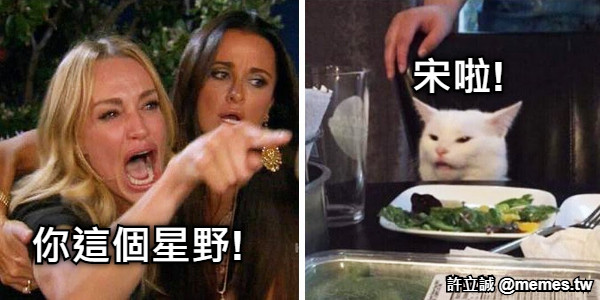 你這個星野! 宋啦!