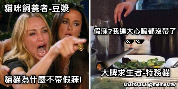 貓貓為什麼不帶假寐! 假寐?我連大心臟都沒帶了 大牌求生者-特務貓 貓咪飼養者-豆漿