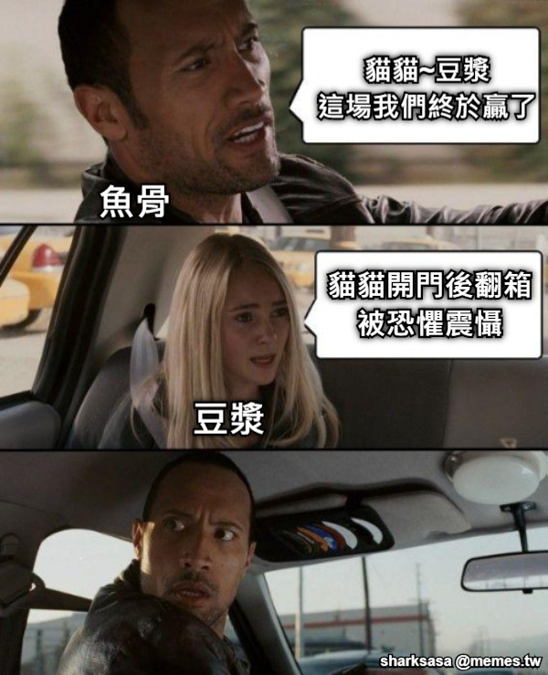 貓貓~豆漿 這場我們終於贏了 貓貓開門後翻箱 被恐懼震懾  魚骨 豆漿