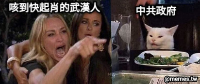 咳到快起肖的武漢人 中共政府