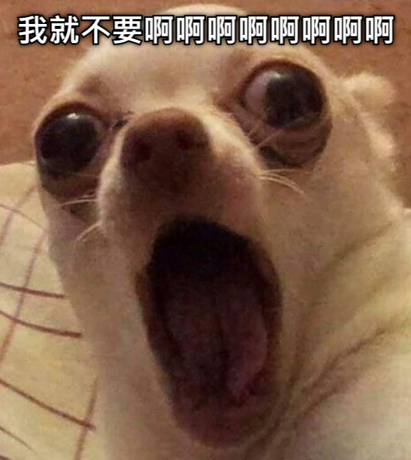 我就不要啊啊啊啊啊啊啊啊