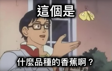 這個是 什麼品種的香蕉啊？