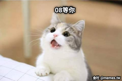 08等你