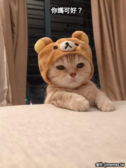 你媽可好？