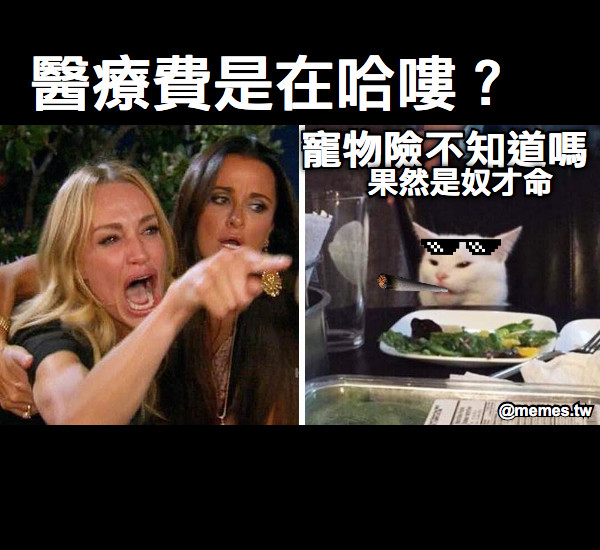 醫療費是在哈嘍？ 寵物險不知道嗎 果然是奴才命