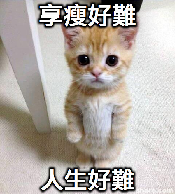 享瘦好難 人生好難