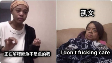 正在解釋鯨魚不是魚的我 凱文 I don’t fucking care