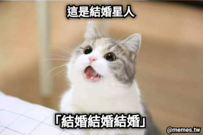 這是結婚星人 「結婚結婚結婚」