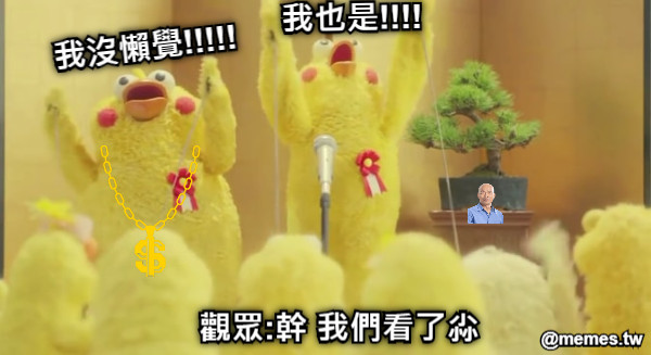 我沒懶覺!!!!! 我也是!!!! 觀眾:幹 我們看了尛