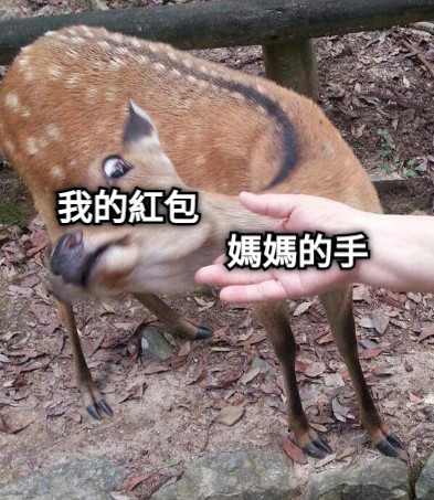 我的紅包 媽媽的手