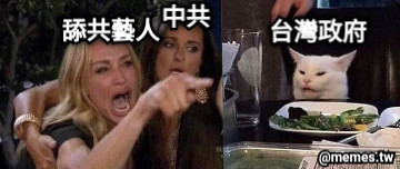 中共 舔共藝人 台灣政府
