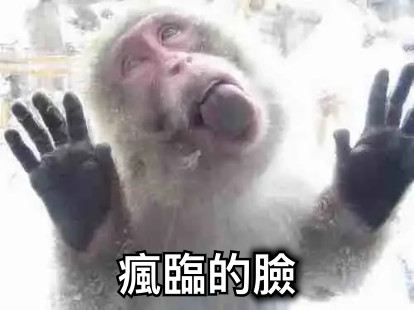 瘋臨的臉
