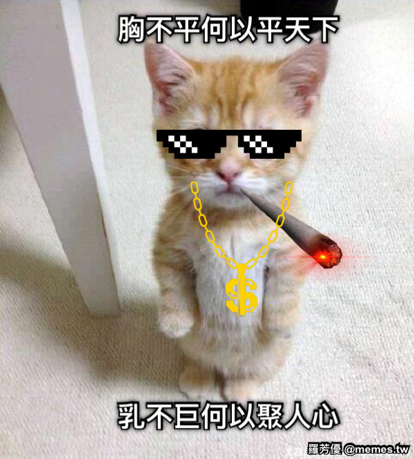 胸不平何以平天下   乳不巨何以聚人心