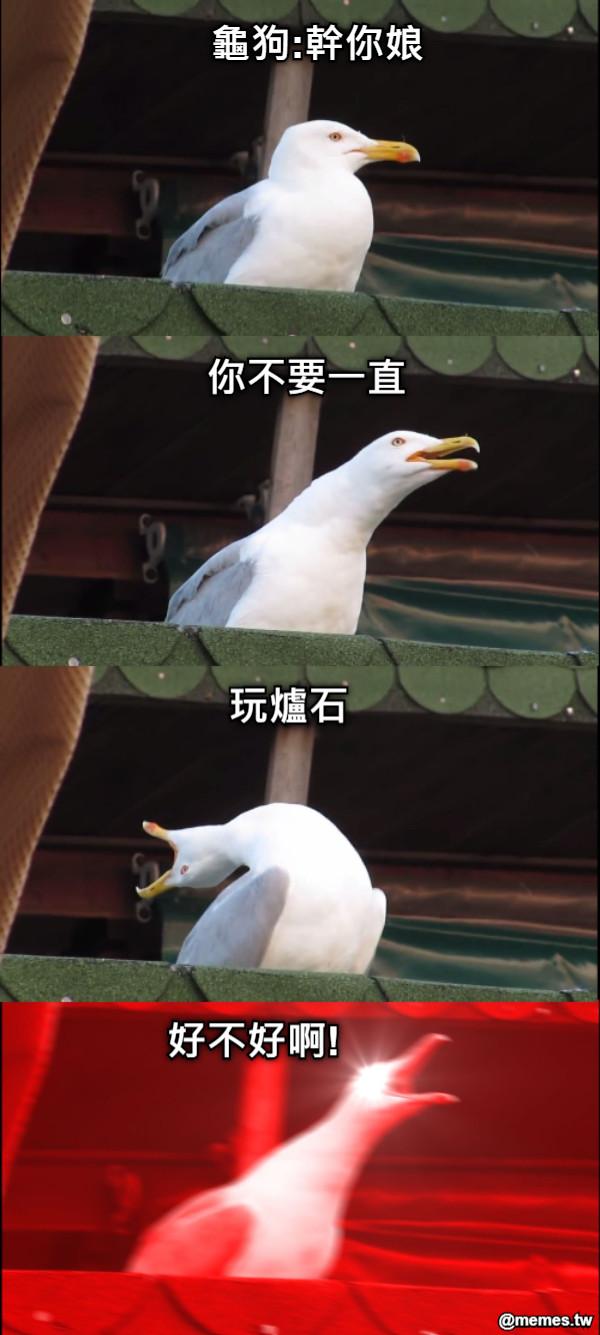 龜狗:幹你娘 你不要一直 玩爐石 好不好啊!