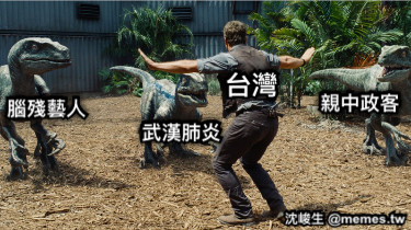 台灣 武漢肺炎 親中政客 腦殘藝人