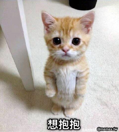 想抱抱