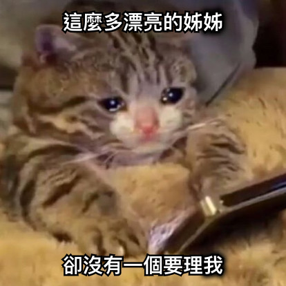 這麼多漂亮的姊姊 卻沒有一個要理我