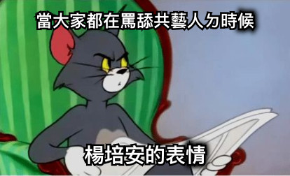 當大家都在罵舔共藝人ㄉ時候 楊培安的表情