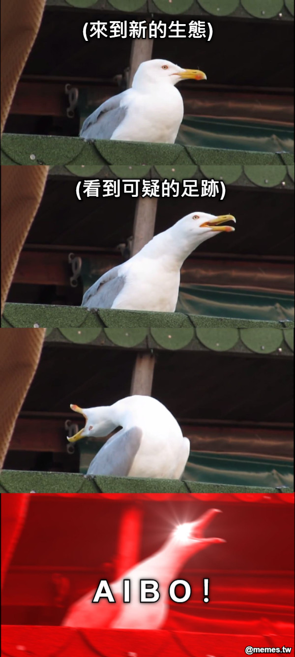 (來到新的生態) (看到可疑的足跡) A I B O！