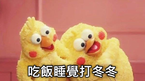 吃飯睡覺打冬冬