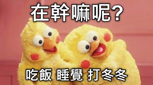 在幹嘛呢? 吃飯 睡覺 打冬冬