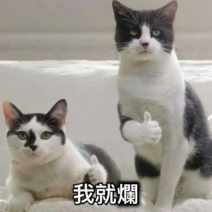 我就爛