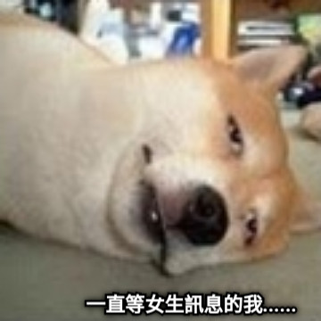 一直等女生訊息的我......