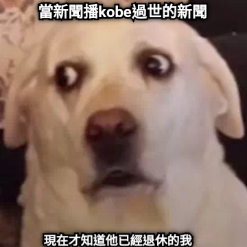 當新聞播kobe過世的新聞 現在才知道他已經退休的我