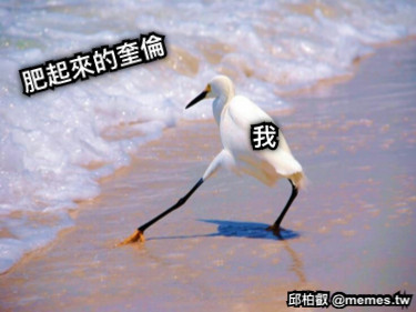 肥起來的奎倫 我