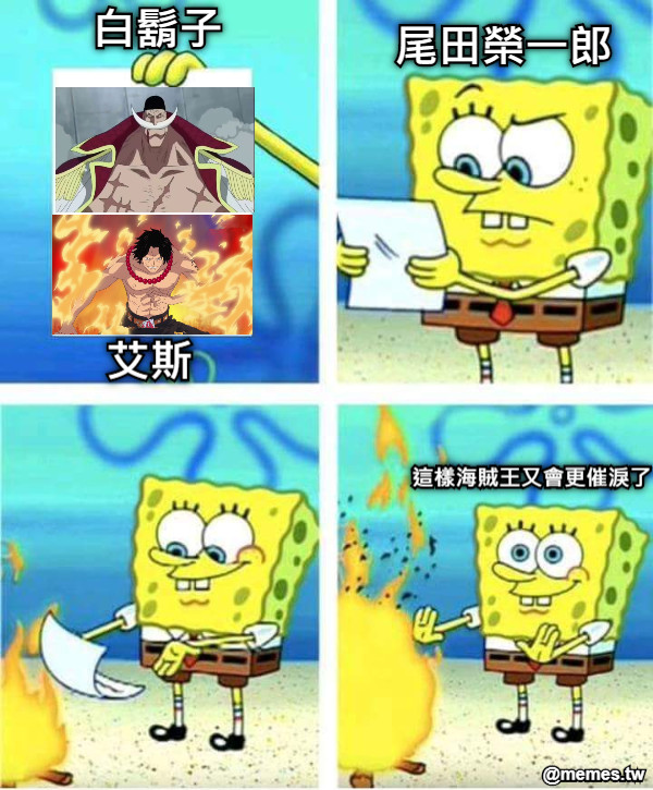 白鬍子 艾斯 尾田榮一郎 這樣海賊王又會更催淚了