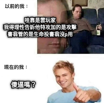 哇靠是雲玩家 我得理性告訴他特攻加的是攻擊 書翁管的是生命投書翁沒p用 傻逼嗎？