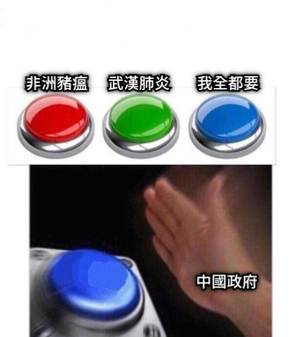 武漢肺炎 我全都要 中國政府 非洲豬瘟