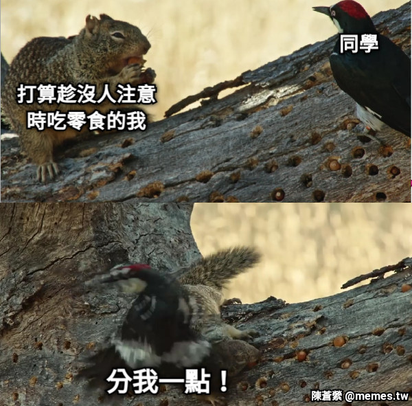 打算趁沒人注意時吃零食的我 同學 分我一點！