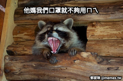 他媽我們口罩就不夠用ㄇㄟ