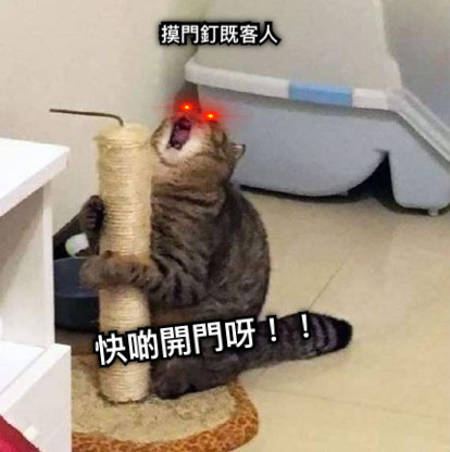 摸門釘既客人 快啲開門呀！！