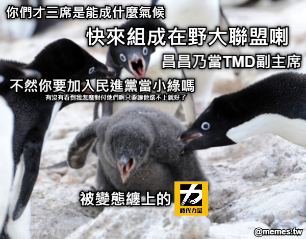 快來組成在野大聯盟喇 昌昌乃當TMD副主席 你們才三席是能成什麼氣候 不然你要加入民進黨當小綠嗎 被變態纏上的 有沒有看到我怎麼對付他們啊只要讓他選不上就好了