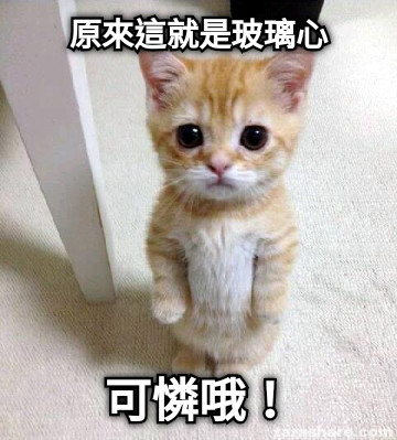 原來這就是玻璃心 可憐哦！