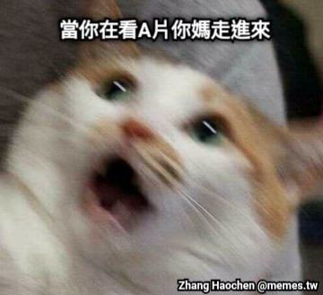 當你在看A片你媽走進來